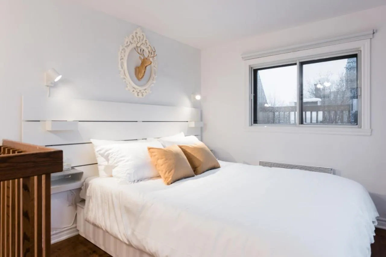 Alywin Apartments In Hochelaga Montreal Canada